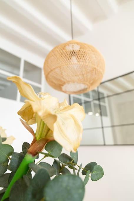 Tanguillo By Gades Gestion Apartment Cadiz Ngoại thất bức ảnh
